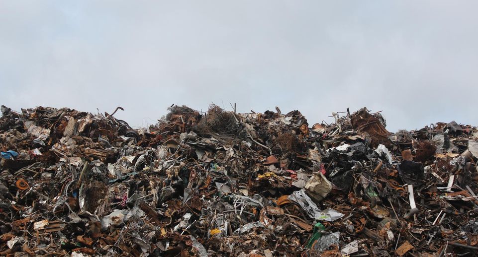 Жители Тверской области стали меньше жаловаться на несвоевременный вывоз мусора