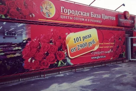 Городская база цветов на Чкаловской улице фото 5