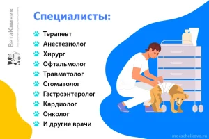Ветаклиник на Пролетарском проспекте фото 2